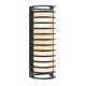A thumbnail of the Access Lighting 20342 Bronze / Ribbed Frosted