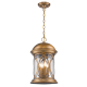 A thumbnail of the Acclaim Lighting 1533 Acclaim Lighting-1533-Light On - Antique Brass