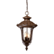 A thumbnail of the Acclaim Lighting 3866 Burled Walnut