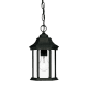 A thumbnail of the Acclaim Lighting 5185 Matte Black / Clear Beveled Glass