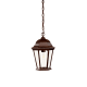 A thumbnail of the Acclaim Lighting 5206 Burled Walnut / Clear Beveled Glass
