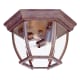 A thumbnail of the Acclaim Lighting 5602 Burled Walnut / Clear Beveled Glass