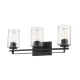 A thumbnail of the Acclaim Lighting IN41102 Matte Black