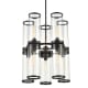 A thumbnail of the Alora Lighting CH311655CG Urban Bronze