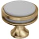 A thumbnail of the Amerock BP36608 Champagne Bronze / Frosted Acrylic