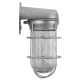 A thumbnail of the ANP Lighting VTW100GLCL-GUP Galvanized