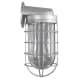 A thumbnail of the ANP Lighting VTW200GLCL-GUP Galvanized