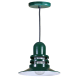 A thumbnail of the ANP Lighting ORB12-FR-42-BLC-42 Forest Green