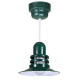A thumbnail of the ANP Lighting ORB12-FR-42-RWHC Forest Green