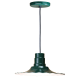 A thumbnail of the ANP Lighting R916-42-BLC-42 Forest Green