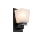 A thumbnail of the Artcraft Lighting AC11611 Black / Brushed Nickel