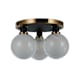 A thumbnail of the Artcraft Lighting AC11873 Alternate Image