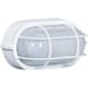 A thumbnail of the Artcraft Lighting AC5660 White