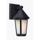 A thumbnail of the Artcraft Lighting AC8200BK Black
