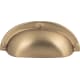 A thumbnail of the Atlas Homewares A818 Champagne