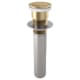 A thumbnail of the Brizo RP81627 Luxe Gold