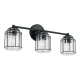 A thumbnail of the Capital Lighting 142931-516 Matte Black