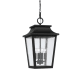 A thumbnail of the Capital Lighting 953344 Black