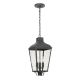 A thumbnail of the Crystorama Lighting Group DUM-9805 Graphite