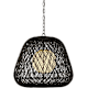A thumbnail of the Currey and Company 9000-1243 Black / Satin Black / White