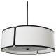 A thumbnail of the Dainolite NDR-243P Matte Black / White