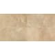 A thumbnail of the Daltile AF1224P Beige