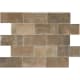 A thumbnail of the Daltile BW48P Patio