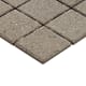 A thumbnail of the Daltile D22MSP Alternate Image