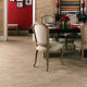 A thumbnail of the Daltile FL1014P Marfil