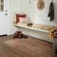 A thumbnail of the Daltile WB636P Daltile WB636P
