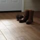 A thumbnail of the Daltile WB636P Daltile WB636P
