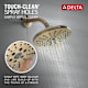 A thumbnail of the Delta T17T259-H2O Alternate Image