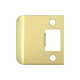 A thumbnail of the Deltana SPE225 Polished Brass