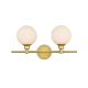 A thumbnail of the Elegant Lighting LD7317W19 Brass / Frosted White