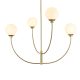 A thumbnail of the Elegant Lighting LD814D42 Brass