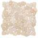 A thumbnail of the Emser Tile M05CULT1212MOH Beige