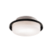 A thumbnail of the Eurofase Lighting 14674 Black Glass