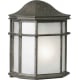 A thumbnail of the Forte Lighting 1719-01 River Rock