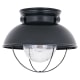 A thumbnail of the Generation Lighting 8869 Black