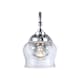 A thumbnail of the Golden Lighting 3610-1W CLR Chrome