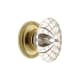 A thumbnail of the Grandeur BURG-CRYS-KNOB-NEWP Polished Brass