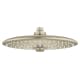 A thumbnail of the Grohe 26 457 Brushed Nickel