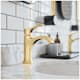 A thumbnail of the Hansgrohe 04810 Alternate Image