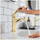 A thumbnail of the Hansgrohe 04810 Alternate Image
