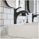 A thumbnail of the Hansgrohe 04811 Alternate Image