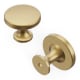 A thumbnail of the Hickory Hardware H076698 Champagne Bronze