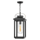 A thumbnail of the Hinkley Lighting 1162 Pendant with Canopy - BK