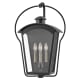 A thumbnail of the Hinkley Lighting 13303 Black / Burnished Bronze