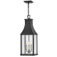 A thumbnail of the Hinkley Lighting 17462 Pendant with Canopy - MB