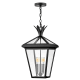A thumbnail of the Hinkley Lighting 26092 Pendant with Canopy - BK
